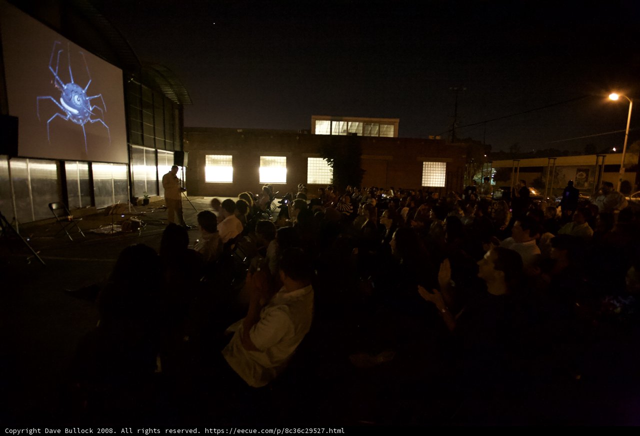 Outdoor Cinema under the Night Sky