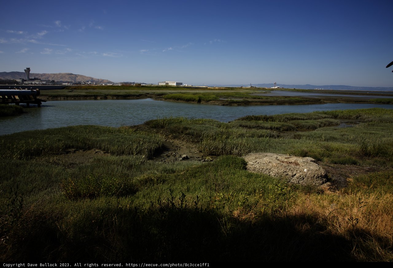 Serenity at Bayfront Park: The Harmony of Land and Water