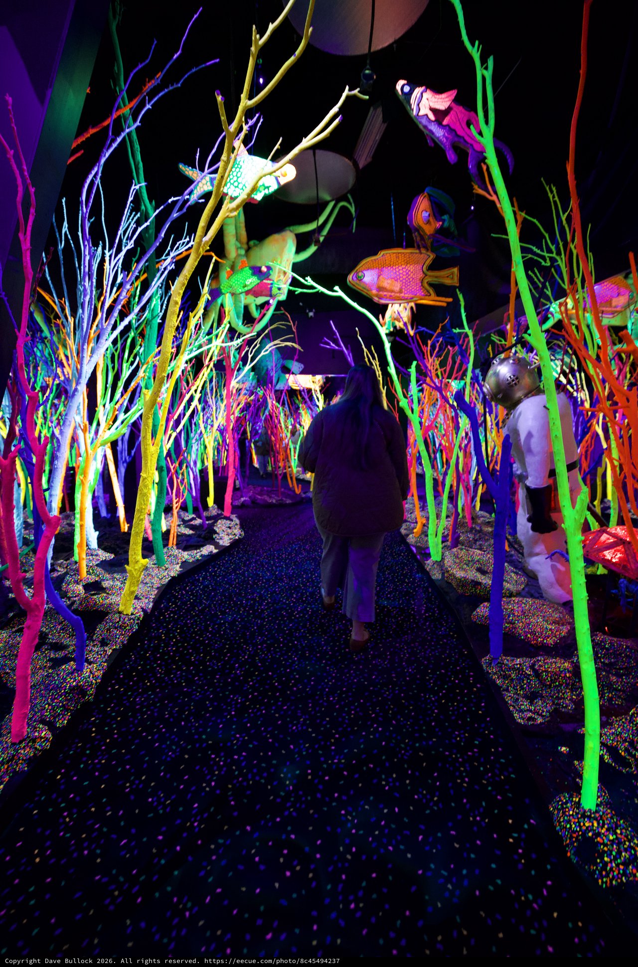 Visitors Exploring Vibrant Neon Underwater Garden Installation