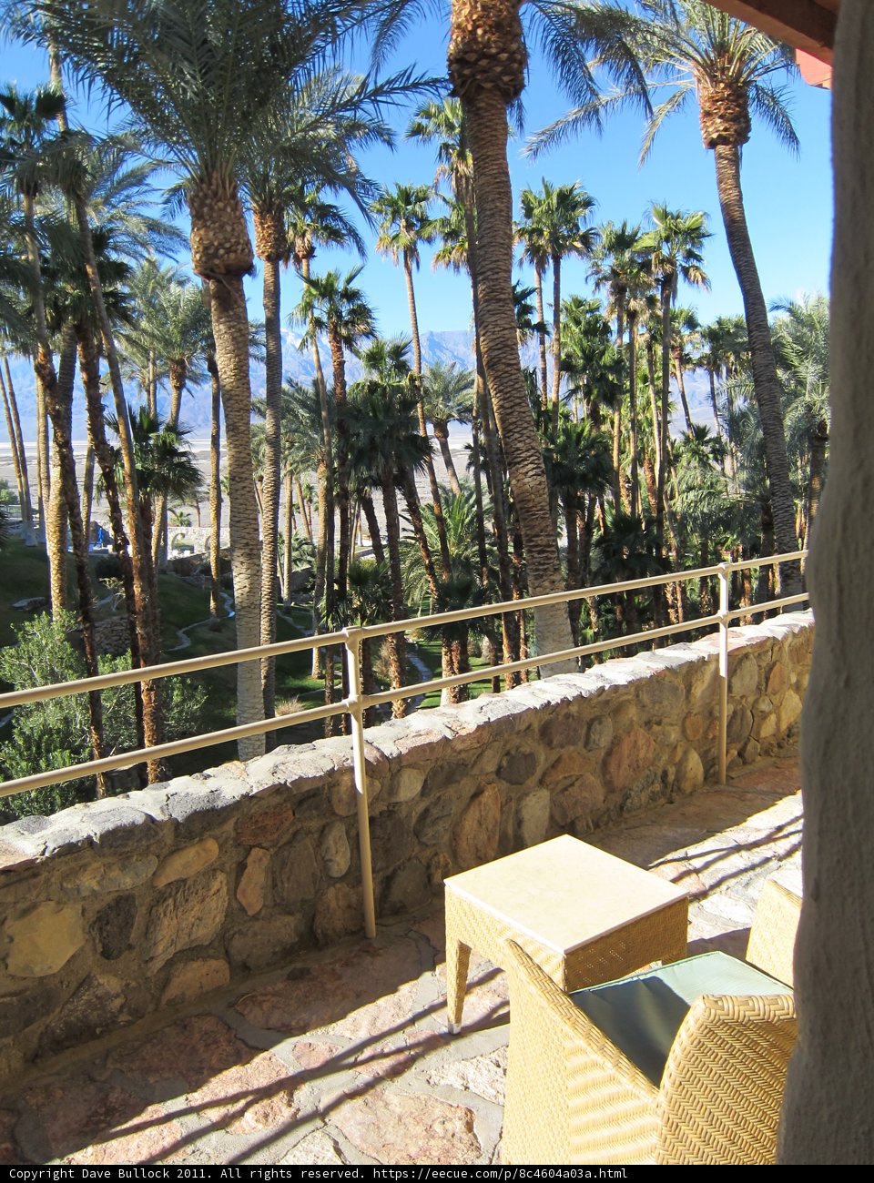 Summer View from Balcony