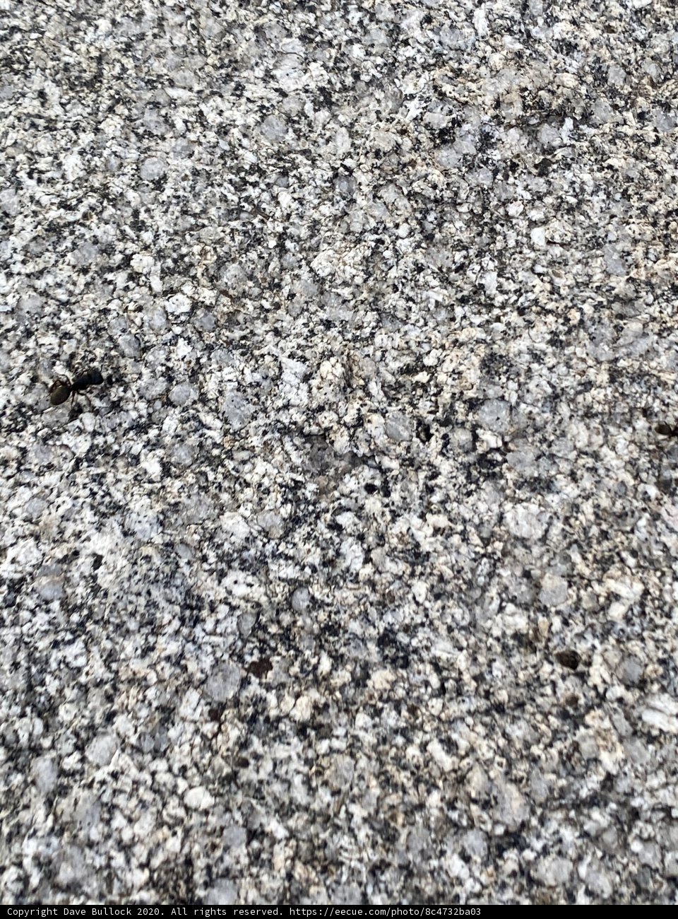 Granite Vistas