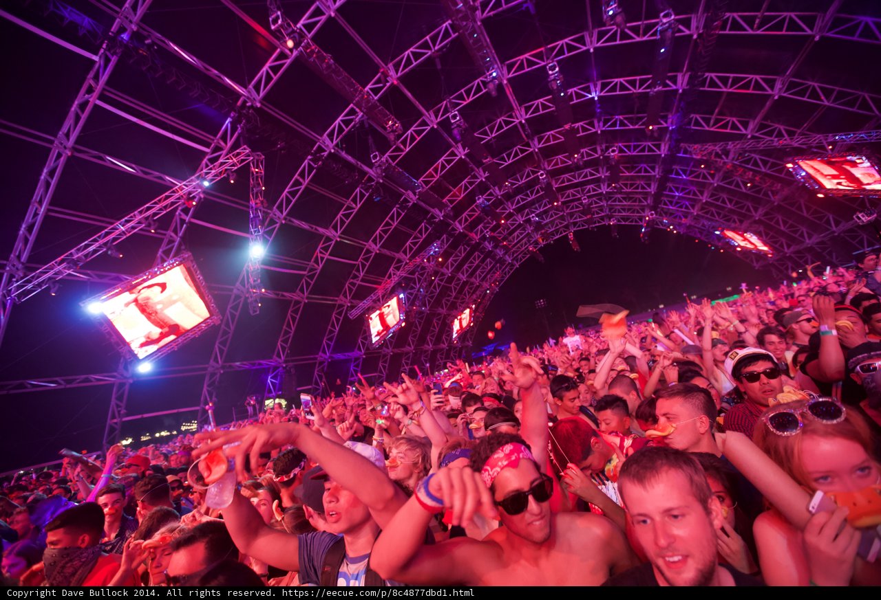 Coachella Crowd