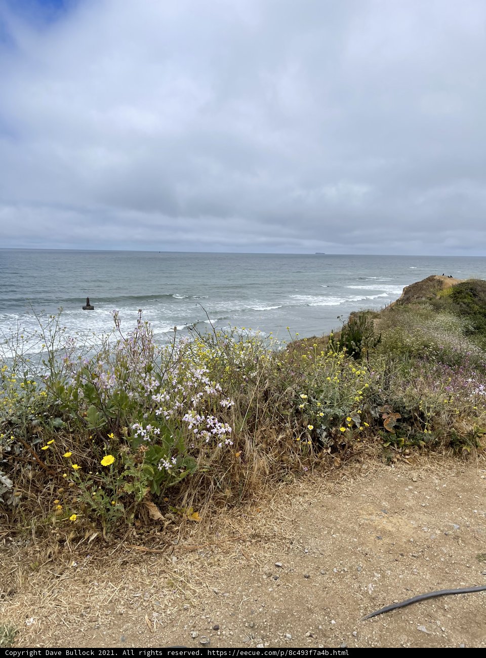 Coastal Cycling Adventure
