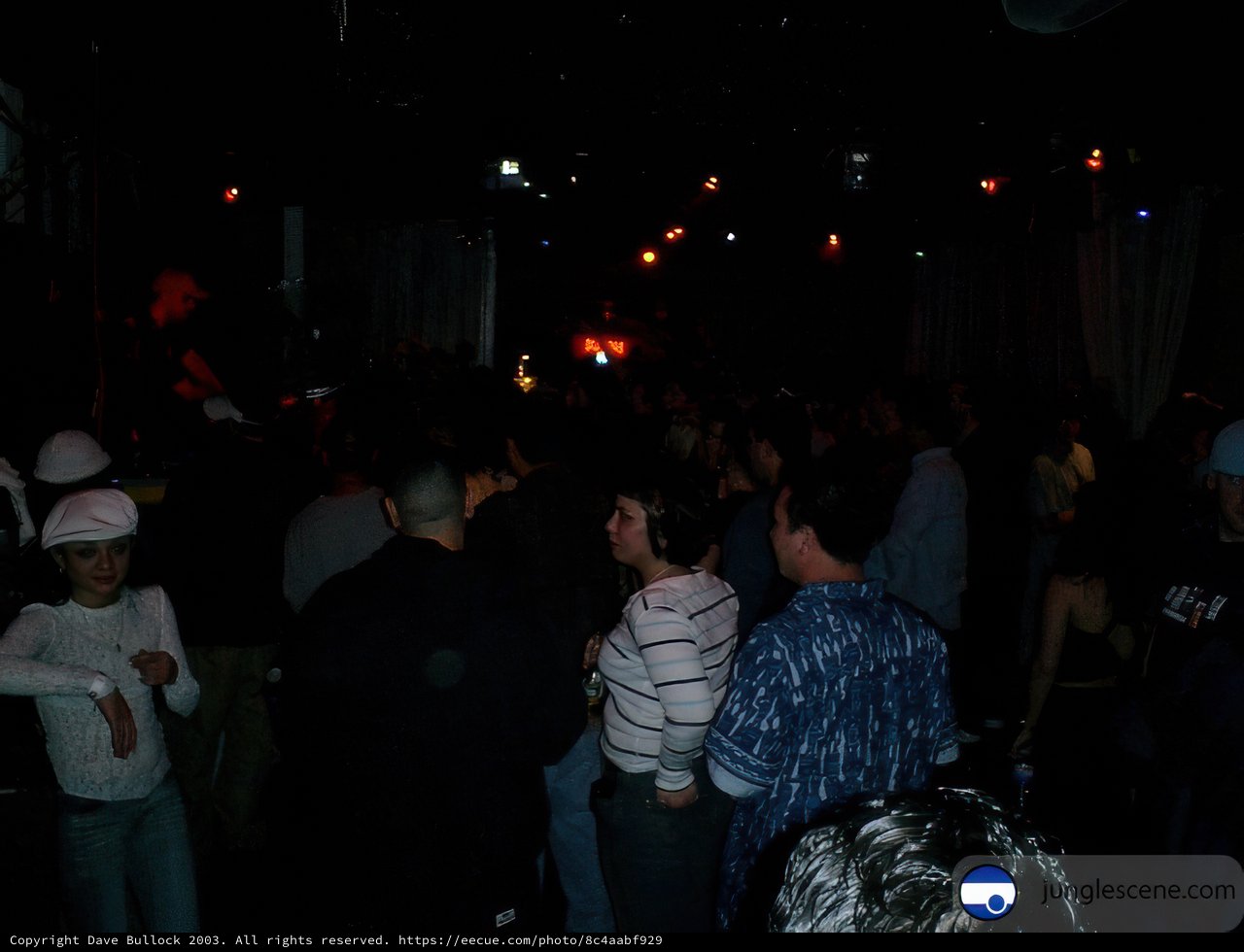 Nightclub Crowd Gathers Under Neon Lighting