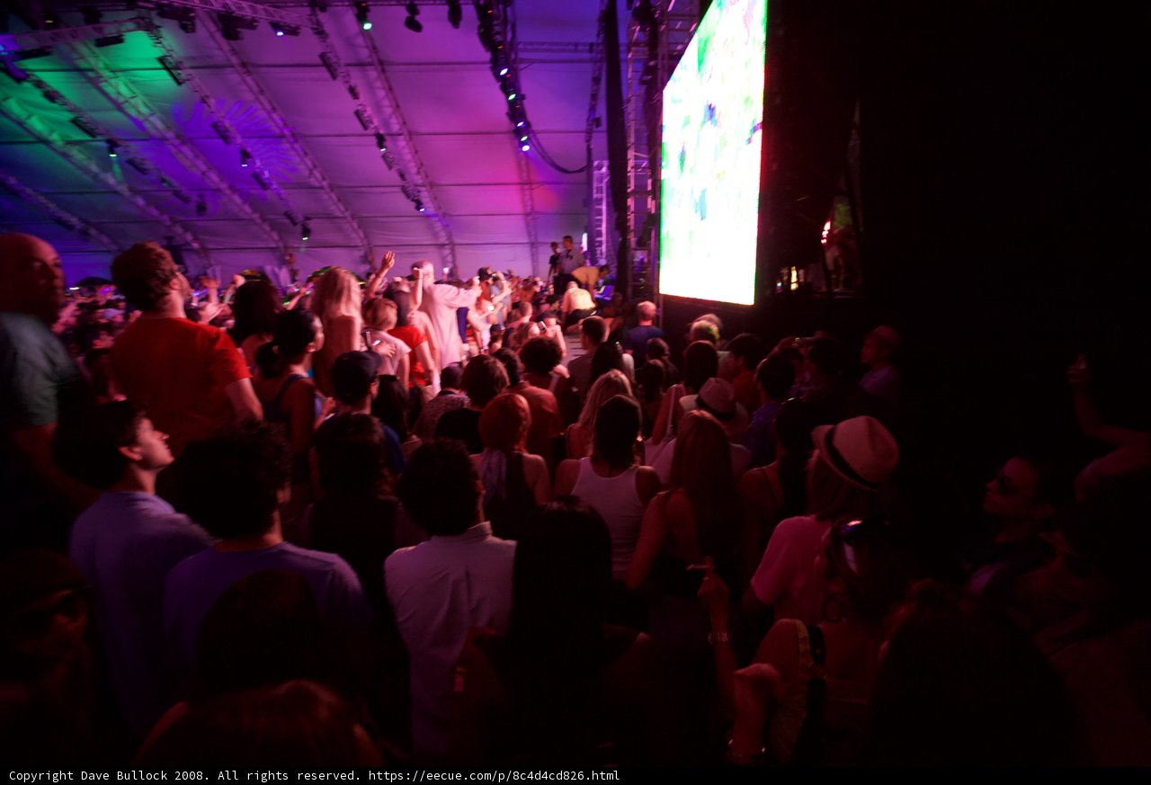 Coachella Crowd Goes Wild