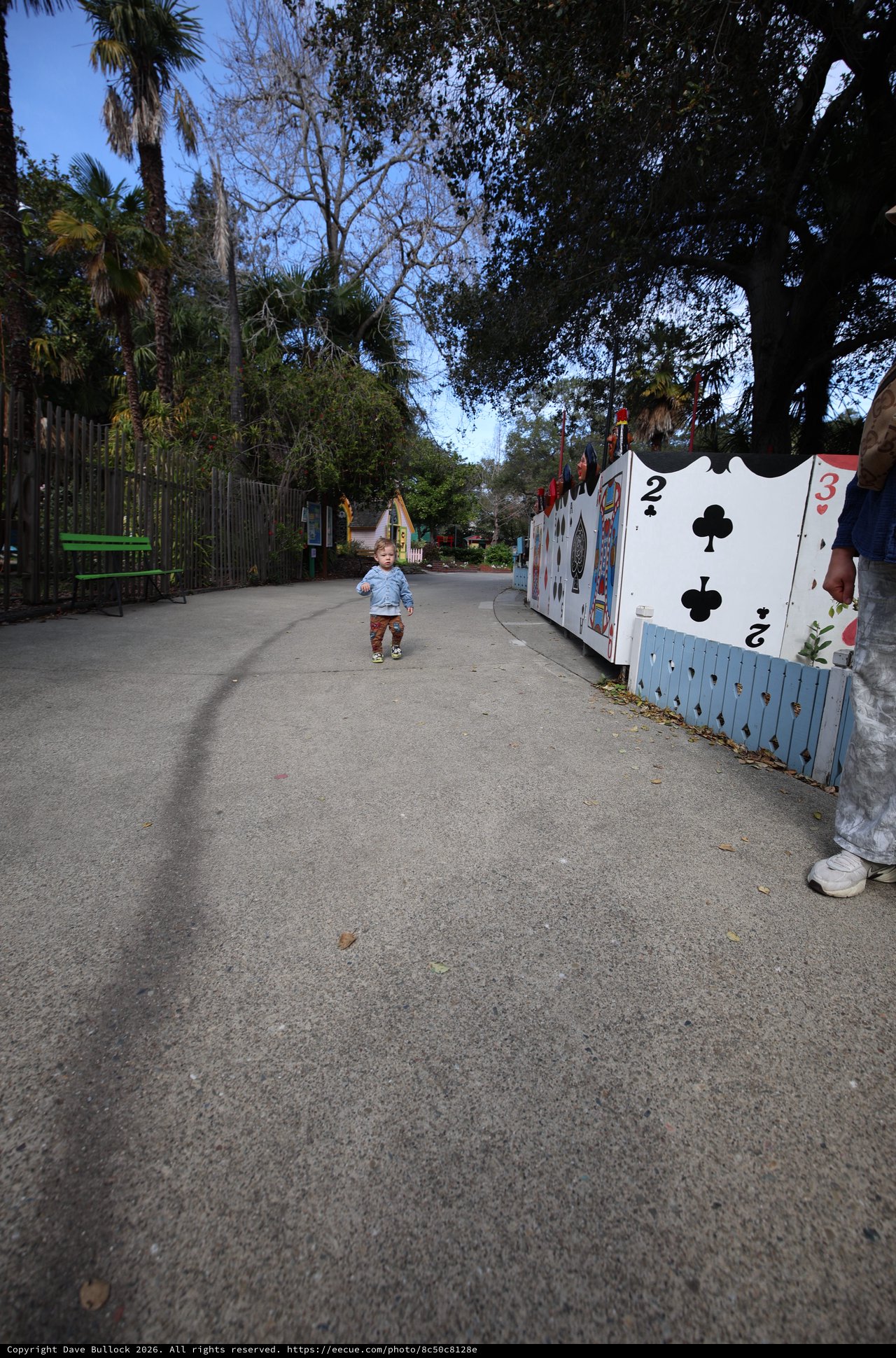 Child Walking Through Alice in Wonderland Themed Pathway