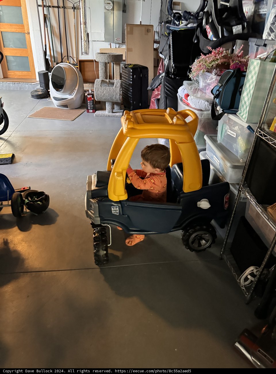 Little Driver's Adventure