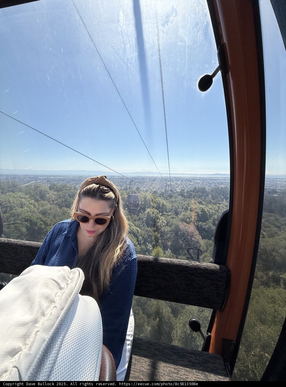 Overlooking Oakland's Wilderness