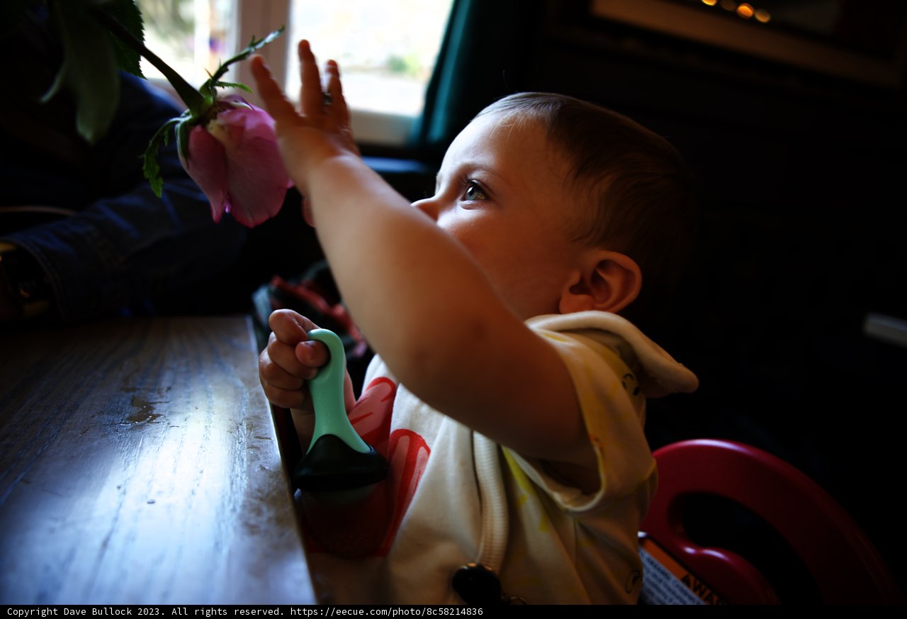 A Baby's Curiosity Blooms