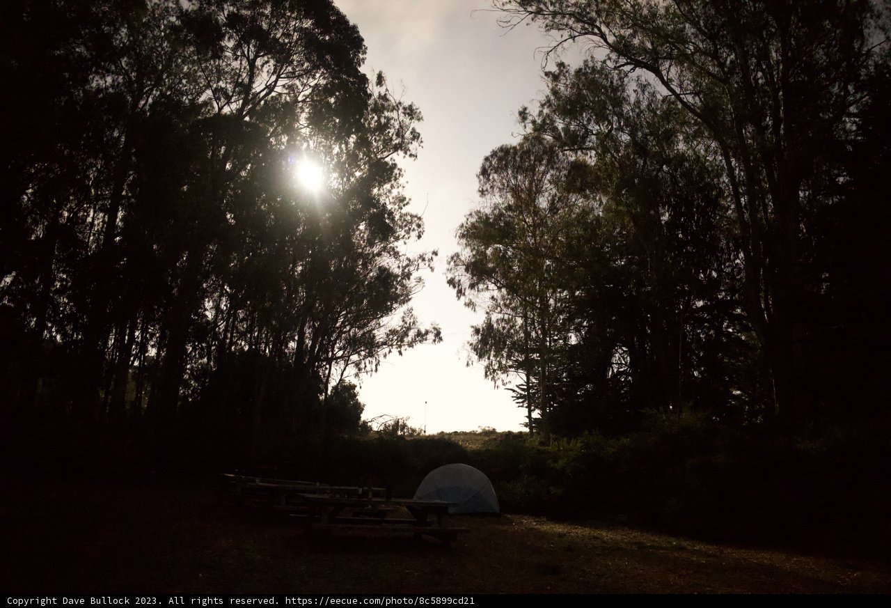 Dawn At The Presidio: A Monochrome Camping Journey