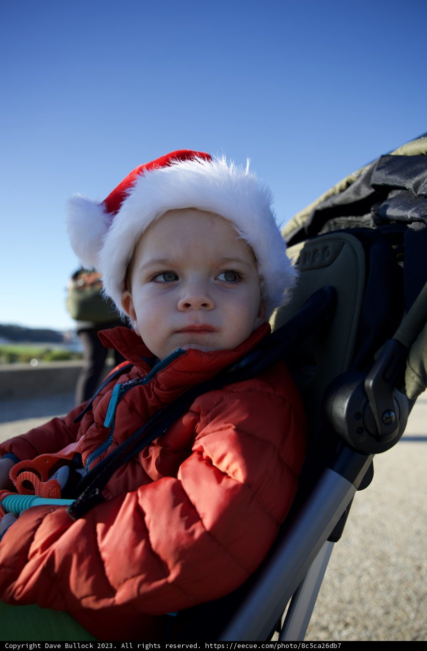 Festive Baby Joy