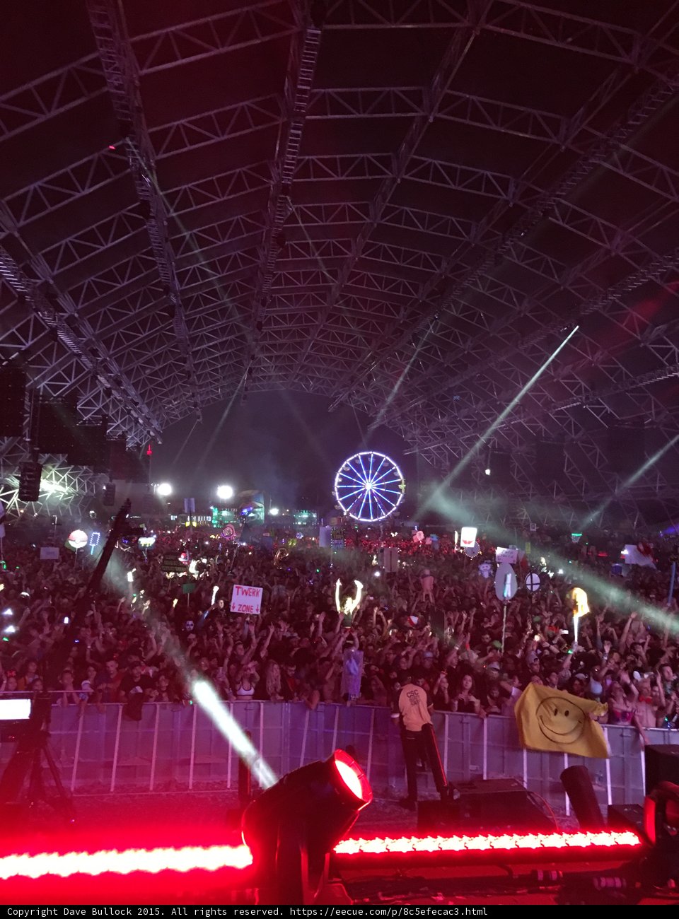 Concert Crowd with Ferris Wheel