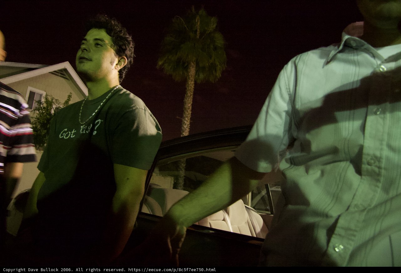 Nighttime Pose with Wheels and Palm Trees