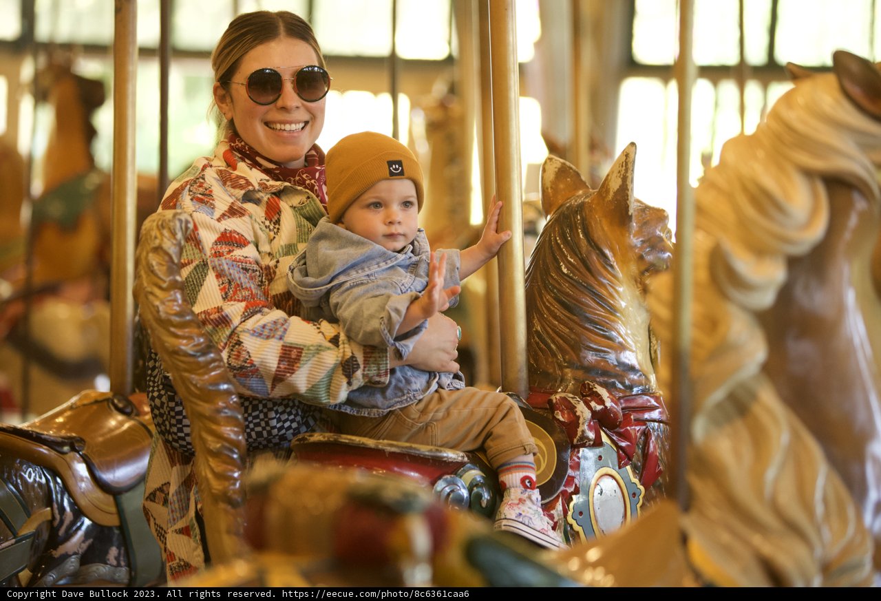 Carousel Memories: A Day at SF Zoo