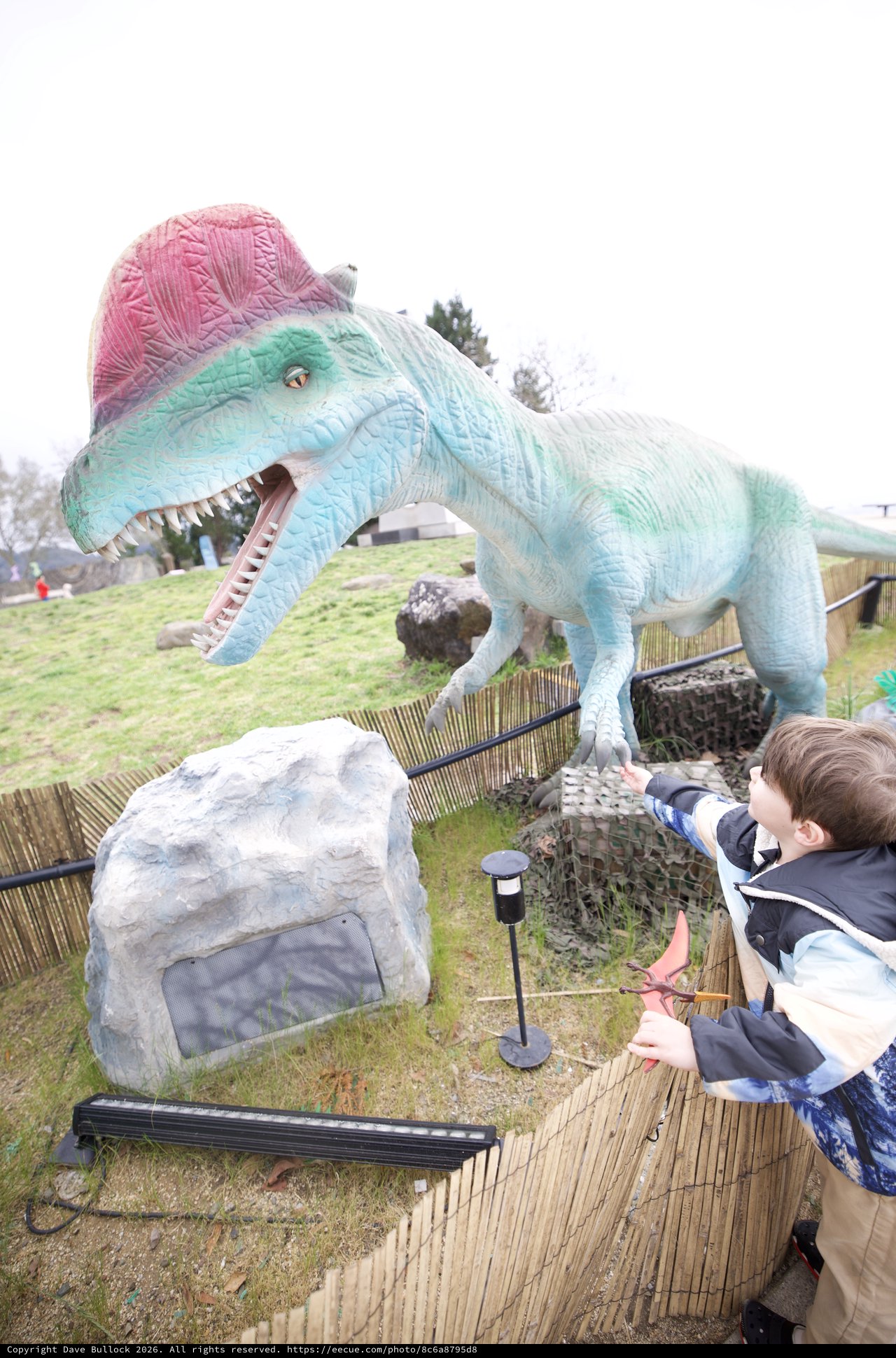 Child Reaches Toward Colorful Spinosaurus Dinosaur Display