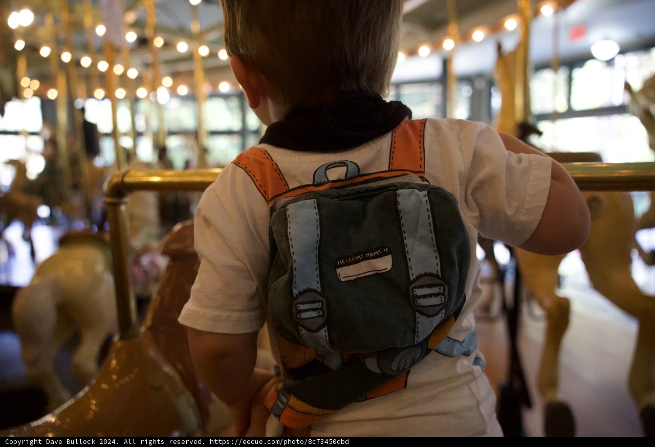 Anticipation on the Carousel