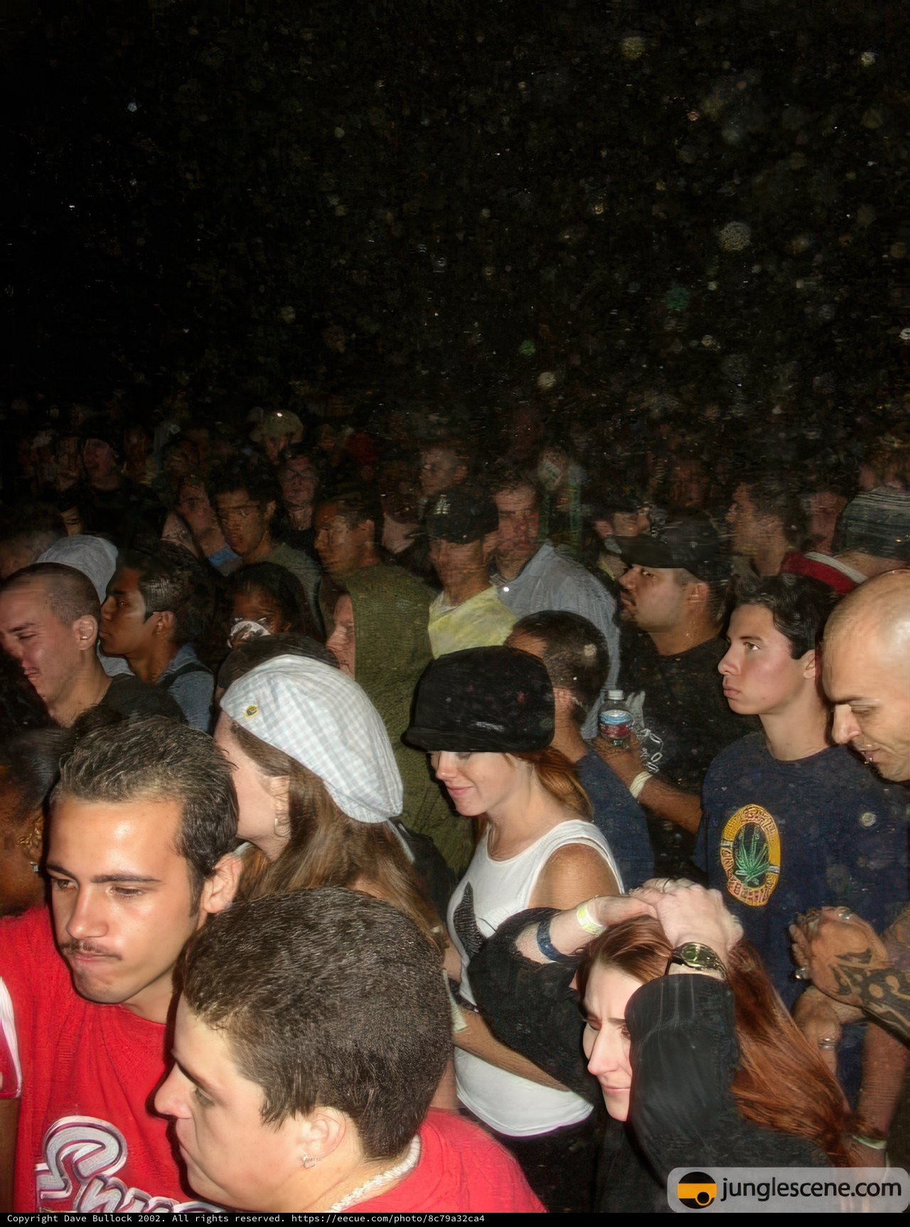 Nightclub Party Crowd