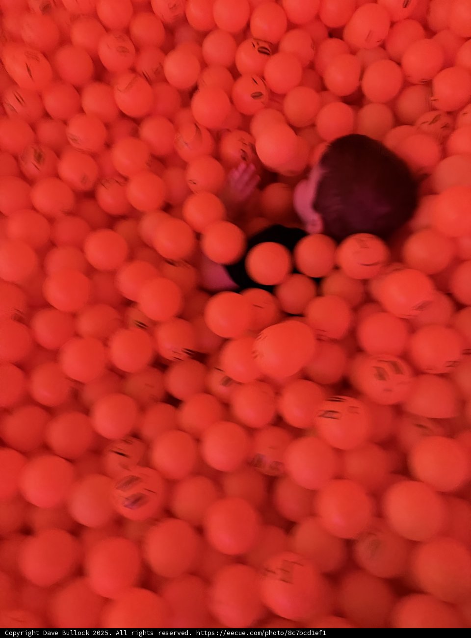 Orange Sphere Wonderland