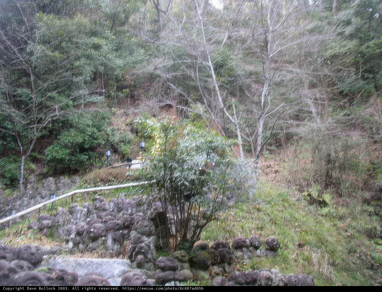 Serene Garden Grove