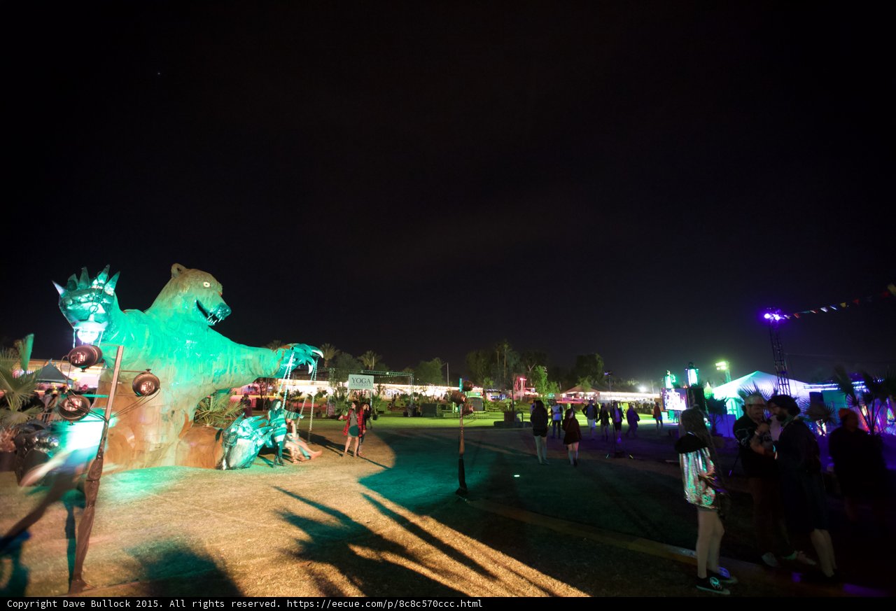 Teal Bear at Night
