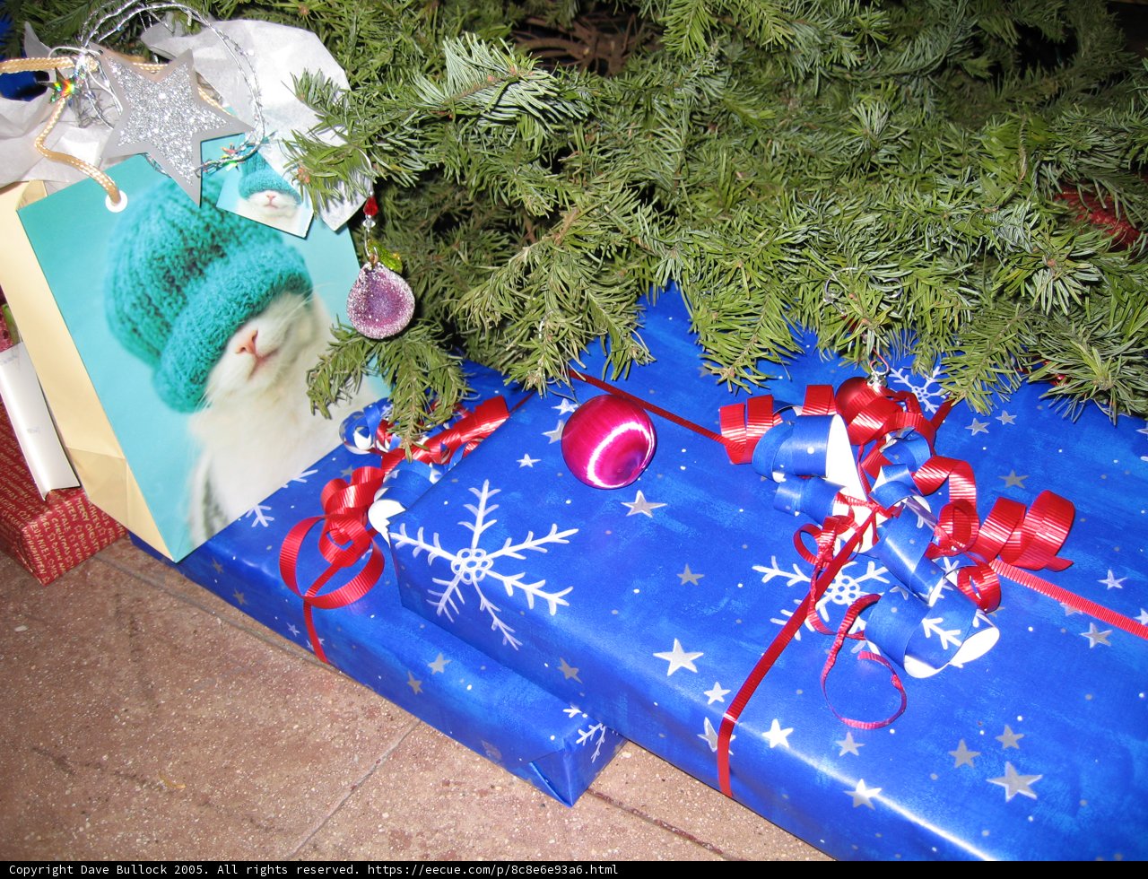 Christmas gift under the tree