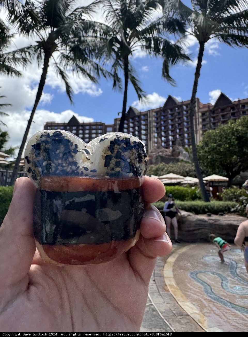Tropical Treats and Towering Palms