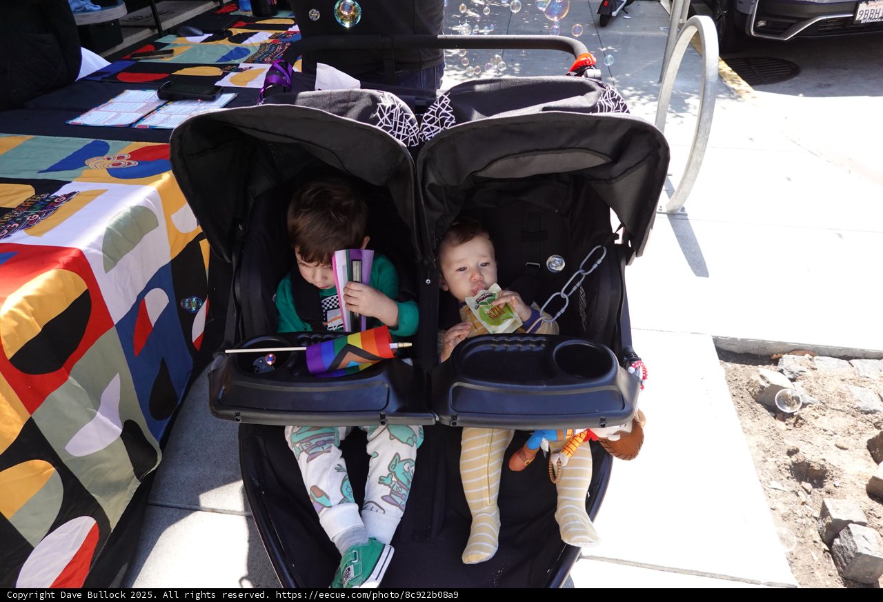 Stroller Adventures on a Sunny Day