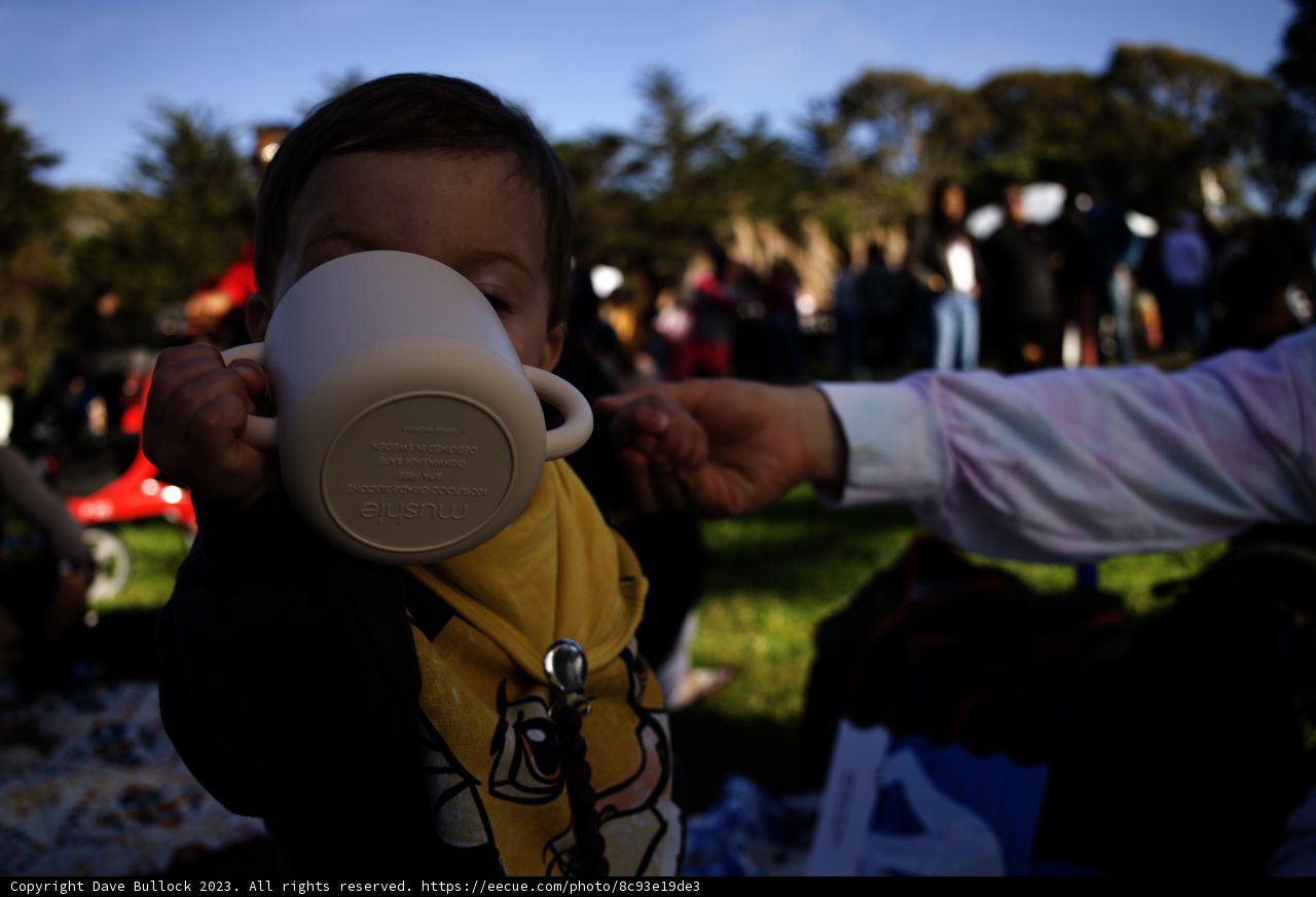 Young Explorer Enjoys SF Zoo Sunset Friday