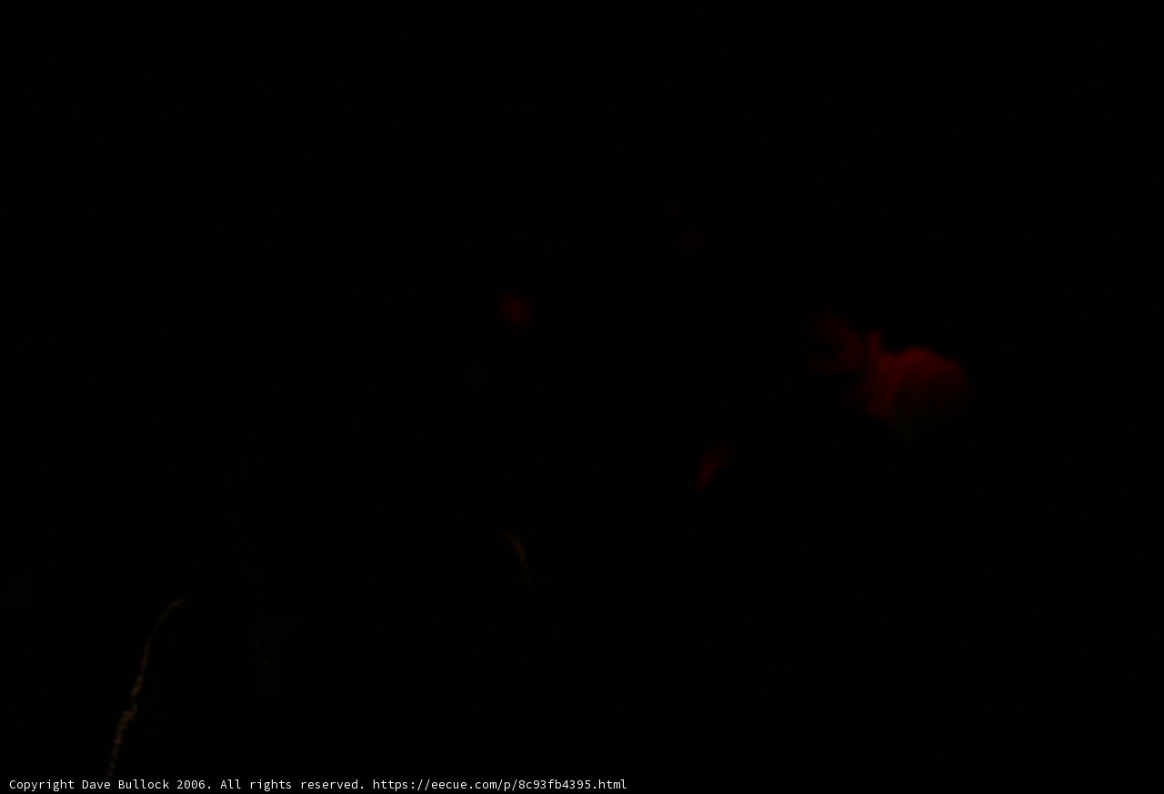 Red Light in the Dark
