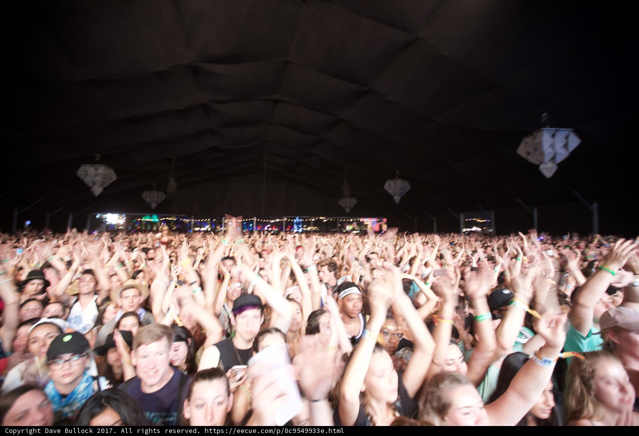 Radiant Crowd at Coachella