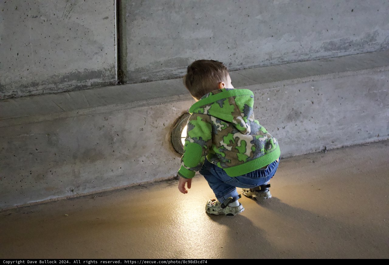 Light of Curiosity
