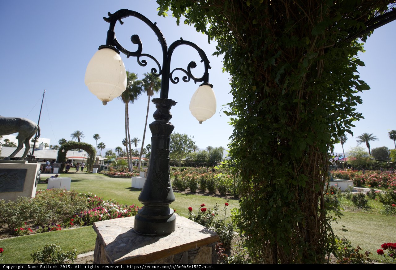 Garden Oasis