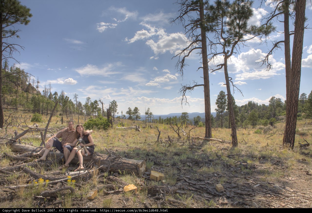 A Tranquil Escape in the Dome Wilderness