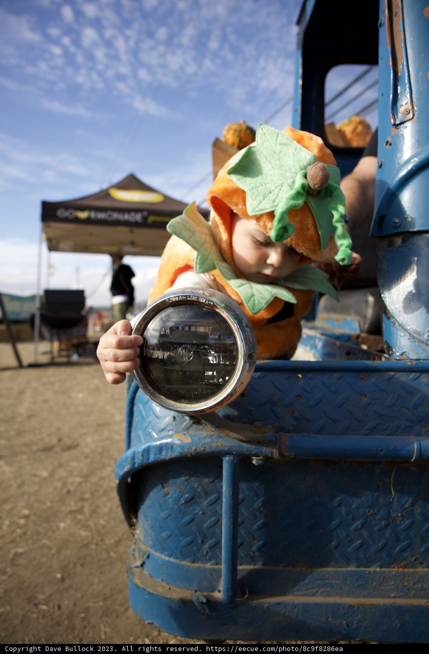 The Mirror Magic at the Pumpkin Patch, Halfmoon Bay 2023