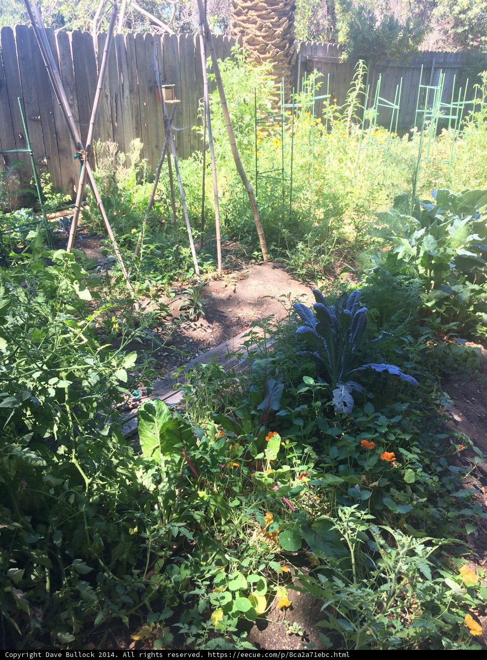 Herbal Paradise in Altadena