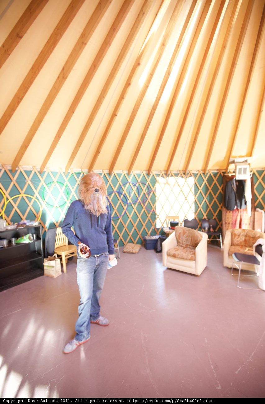 Yurt serenade