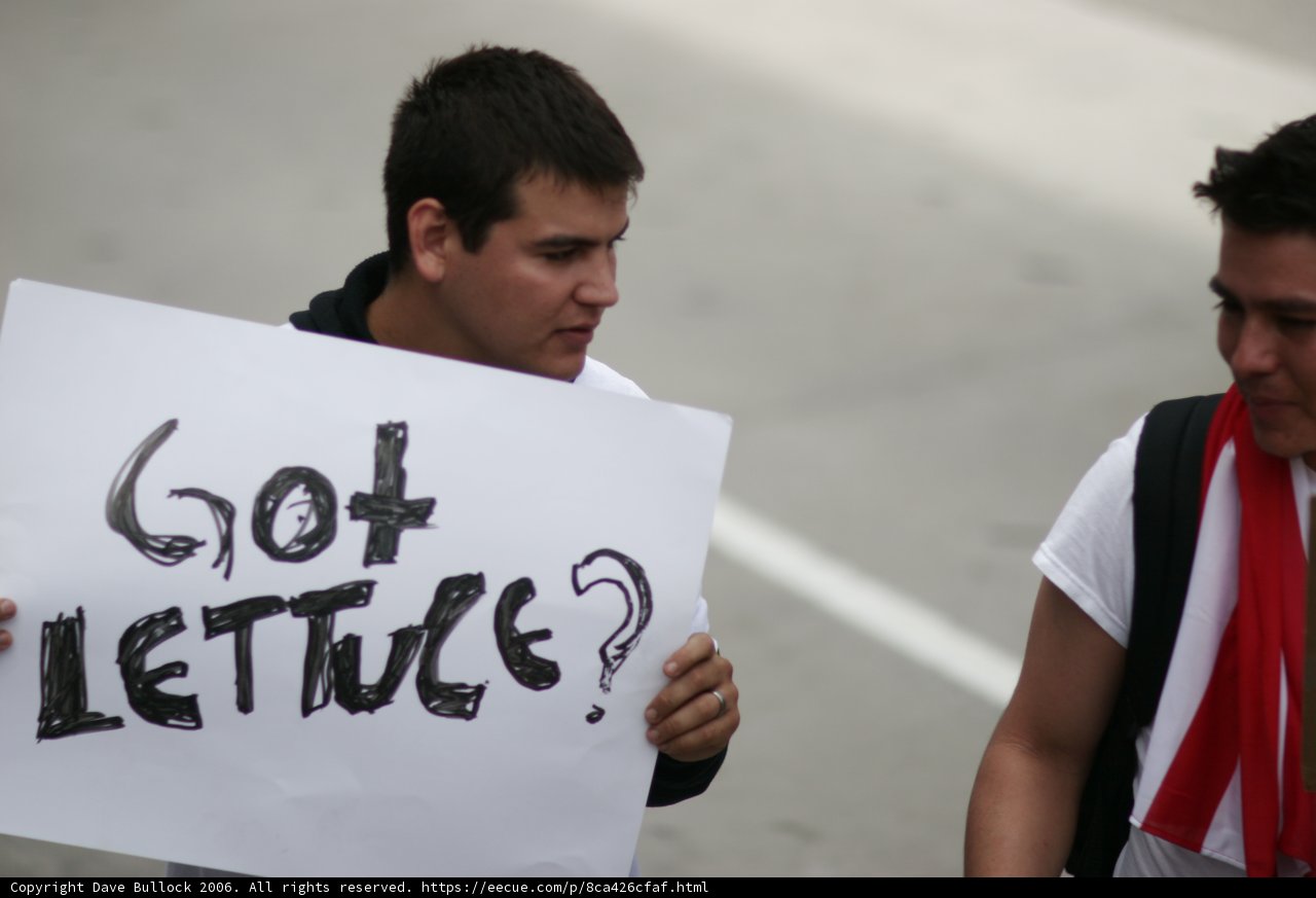 Got Lettuce? Protesters Make a Statement