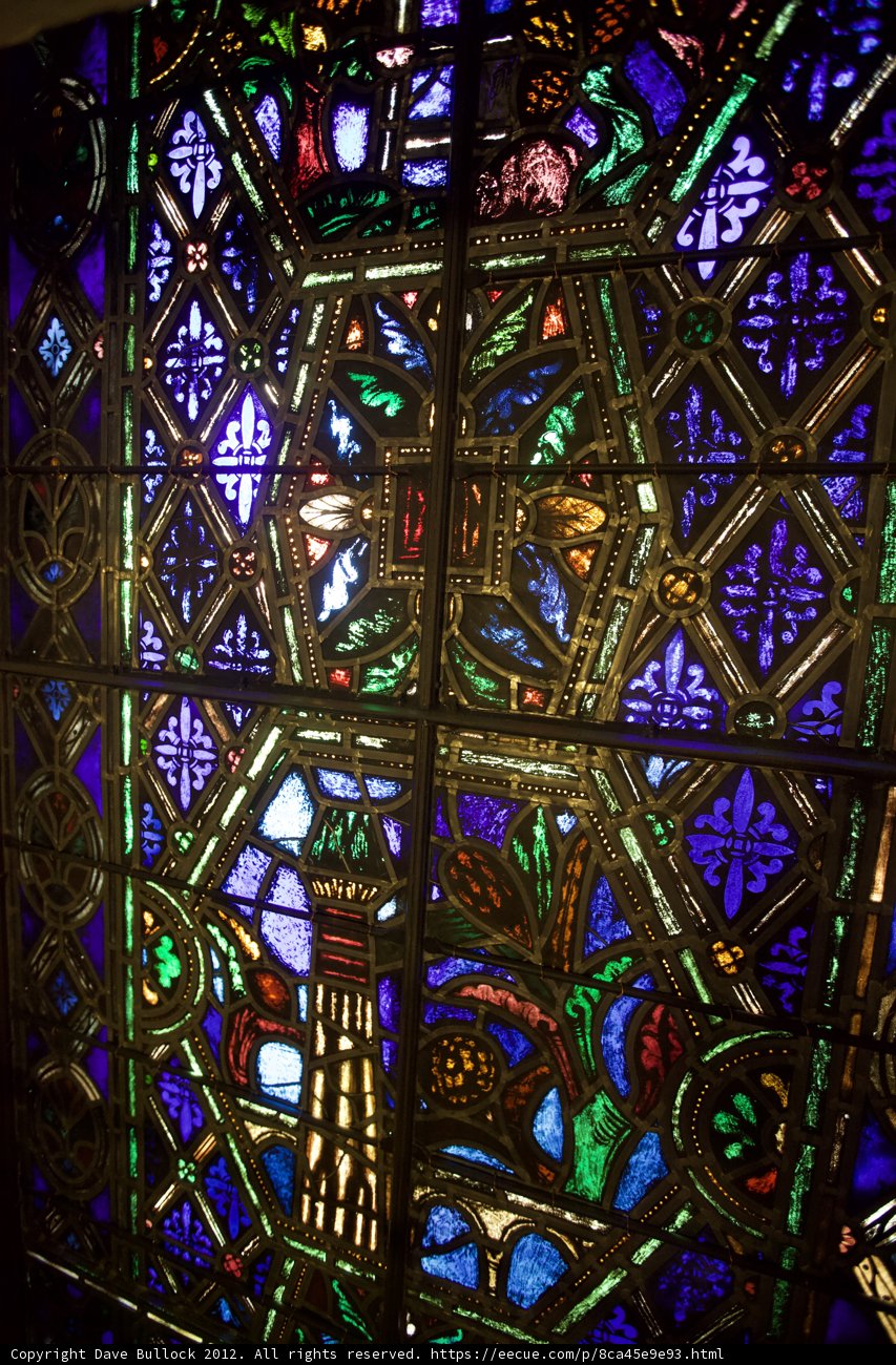 Illuminated Glory at the Cathedral of Santiago de Chile