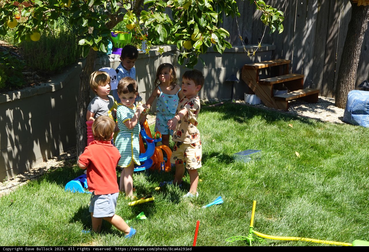 Summertime Backyard Adventure