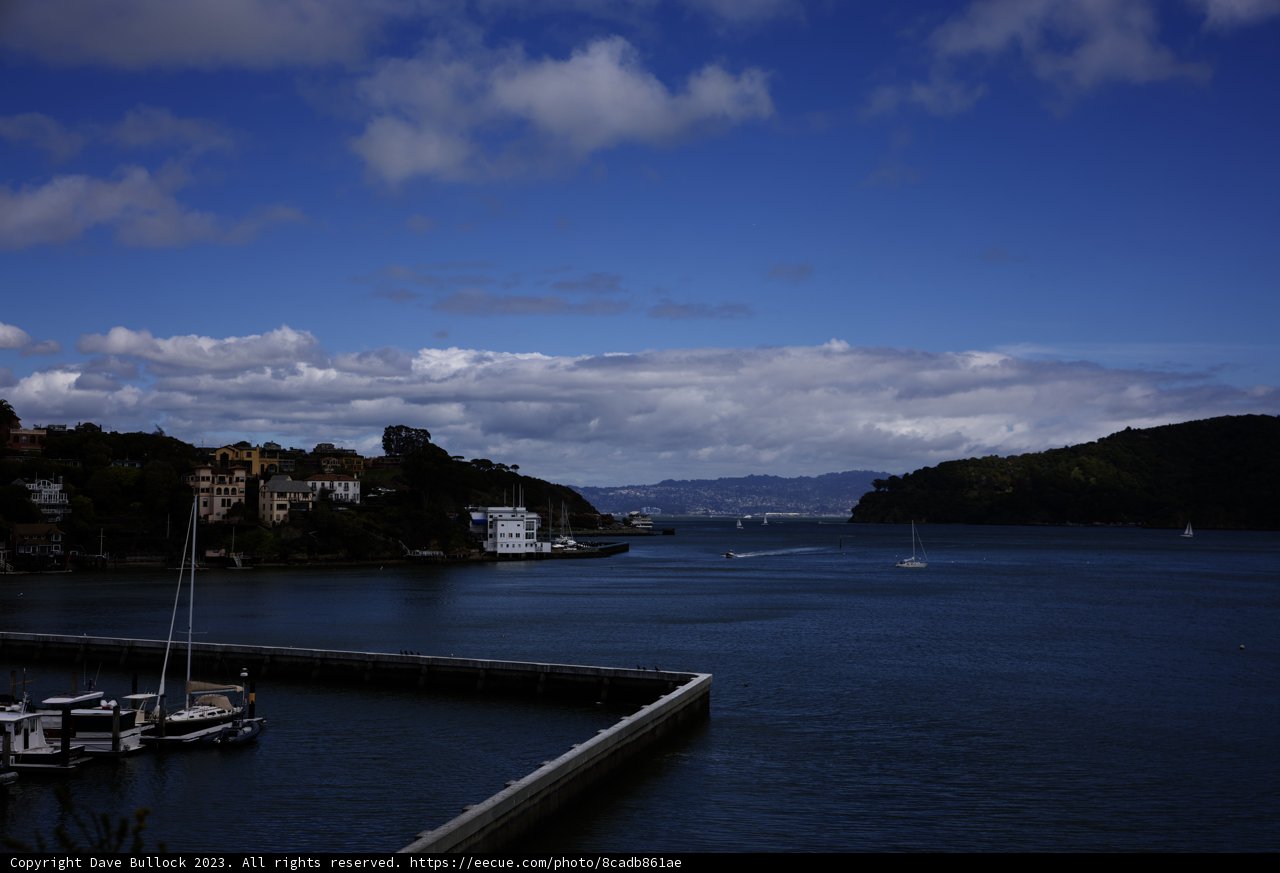 Tranquil Tiburon Harbor
