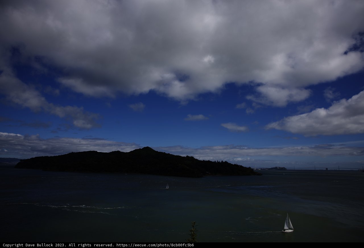 Sailing Adventure in Tiburon