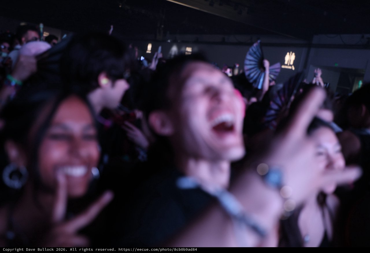 Euphoric Crowd Loses Itself at Wobbleland 2026