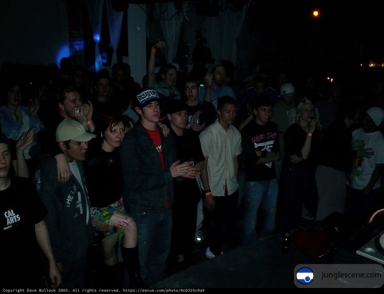 Nightclub Crowd Enjoys DJ Performance