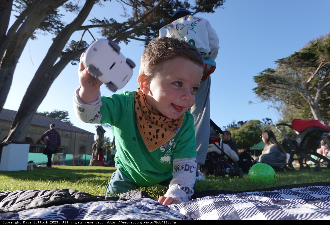 Summer Spirit: Boyhood, Frisbee, and Embracing Nature