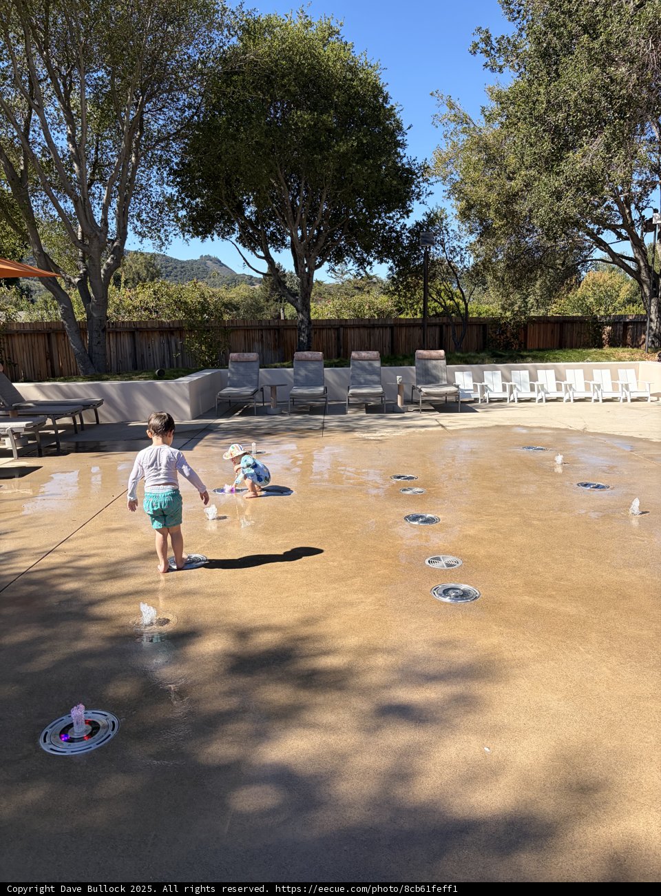 Joyful Splashes