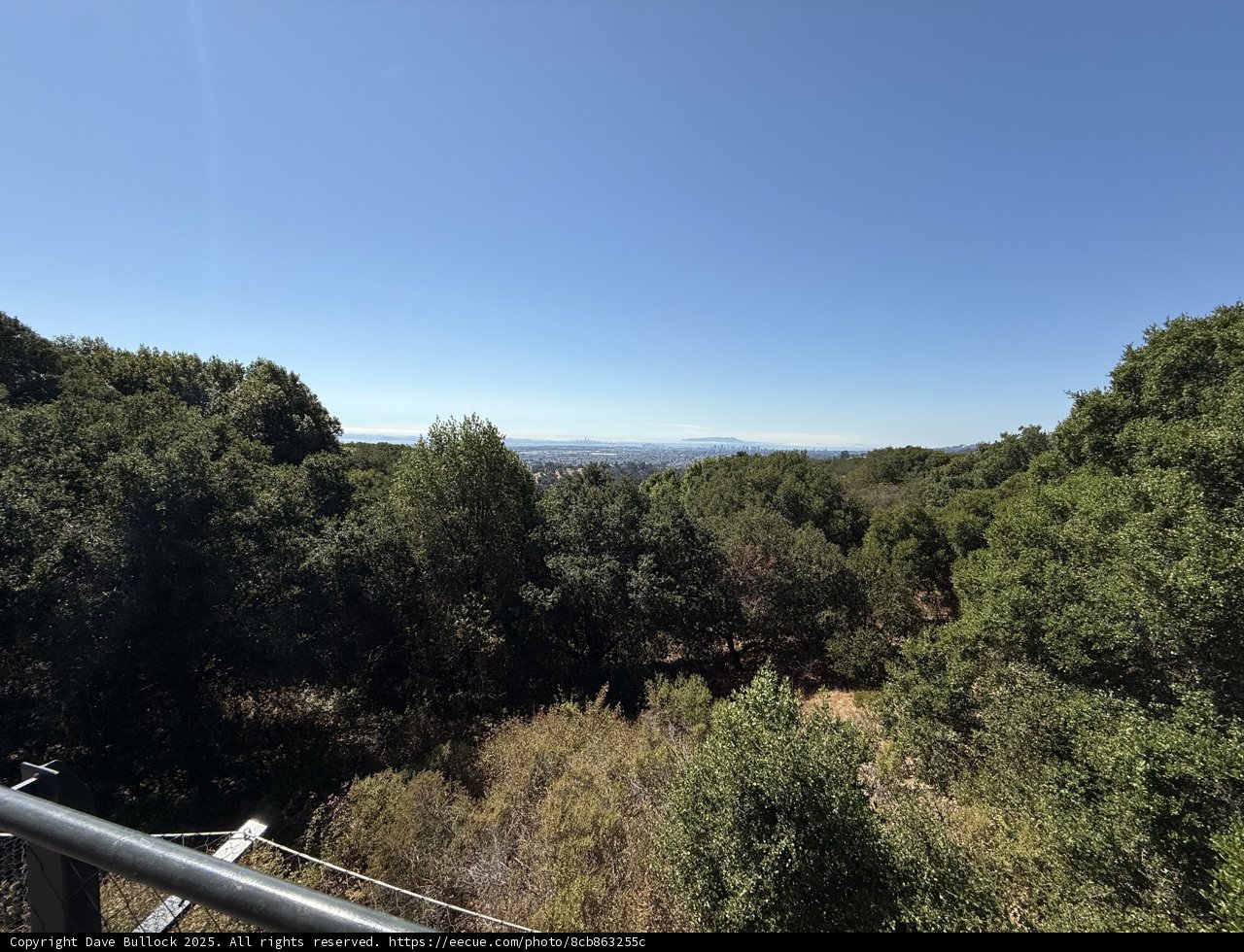 Verdant Vista at the Oakland Zoo