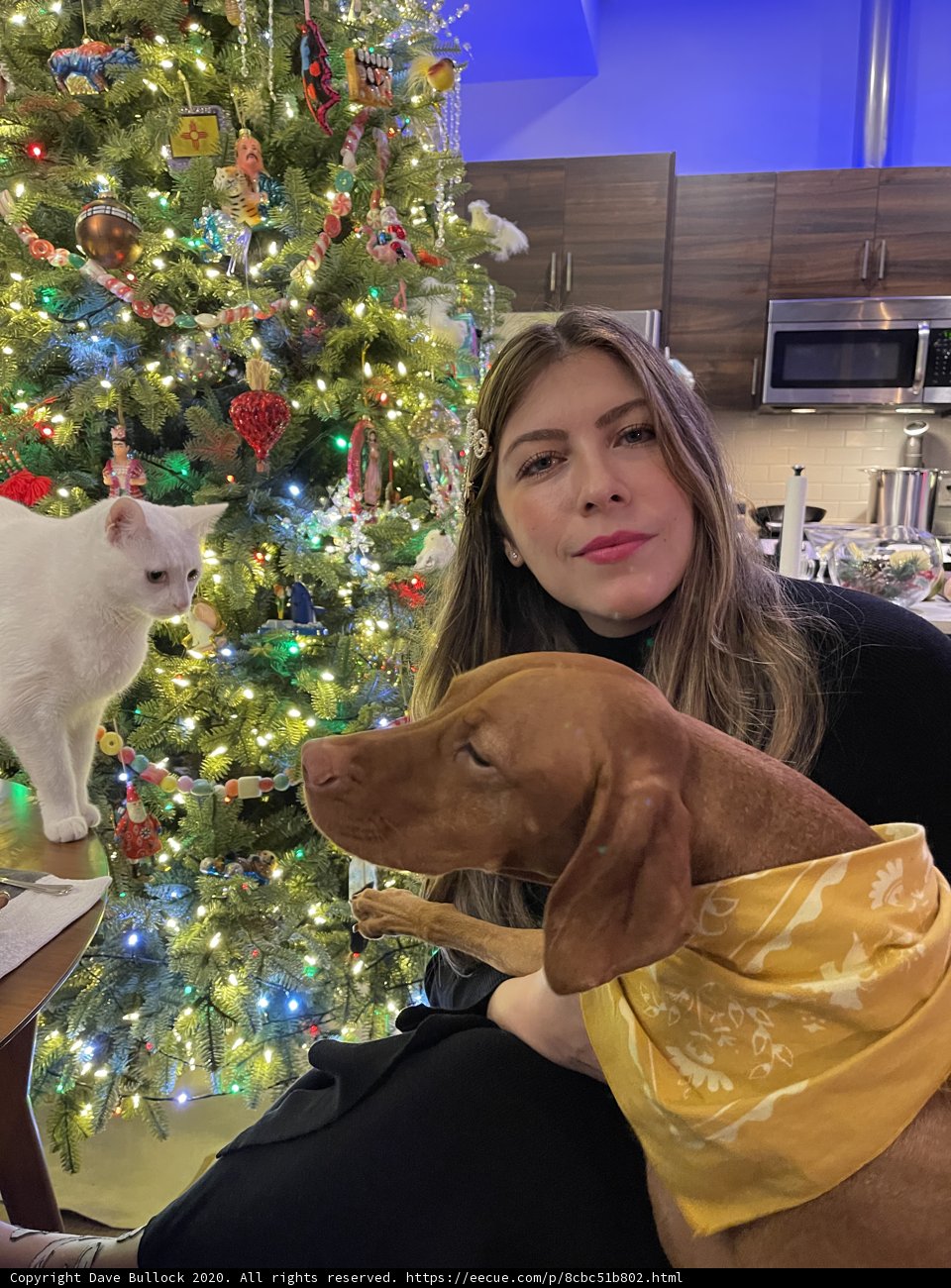 Christmas Cheer with Furry Friends