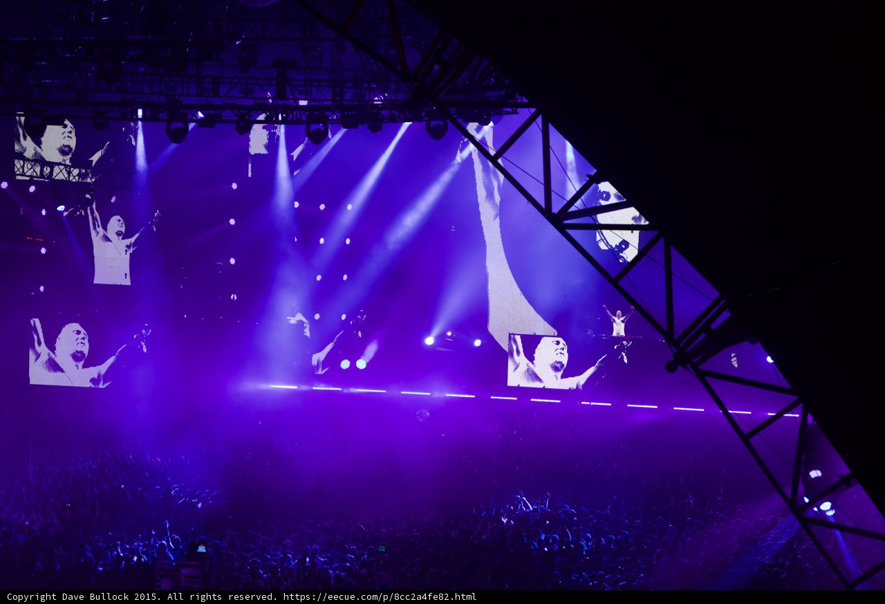 Purple Haze
