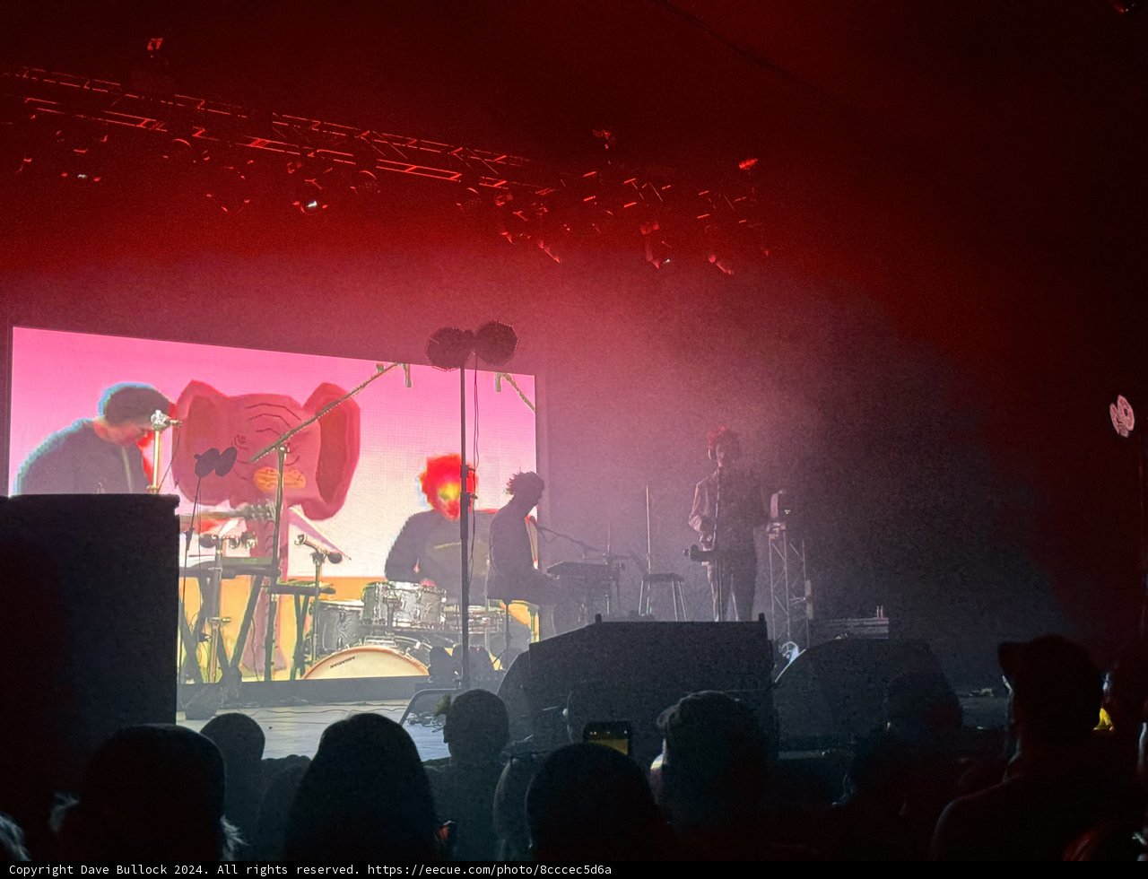 Electric Vibrations Under the Desert Sky