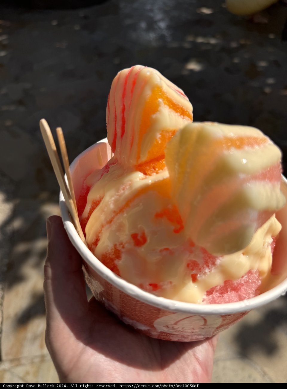 Tropical Treat Delight